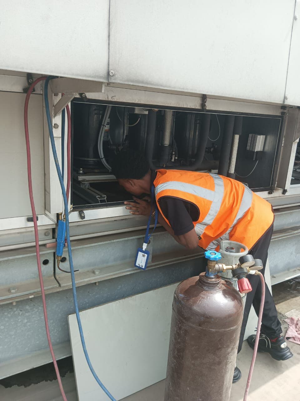 Expert fumigation and pest control service with professional equipment