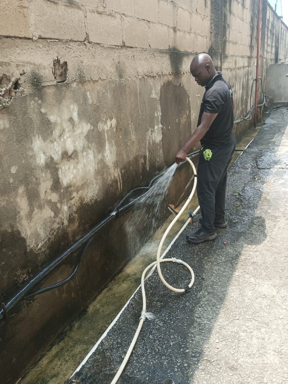 Rodent control professional conducting exclusion work and prevention