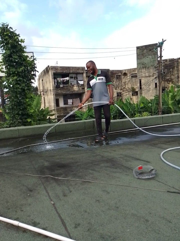 Fumigation and pest control professional treatment